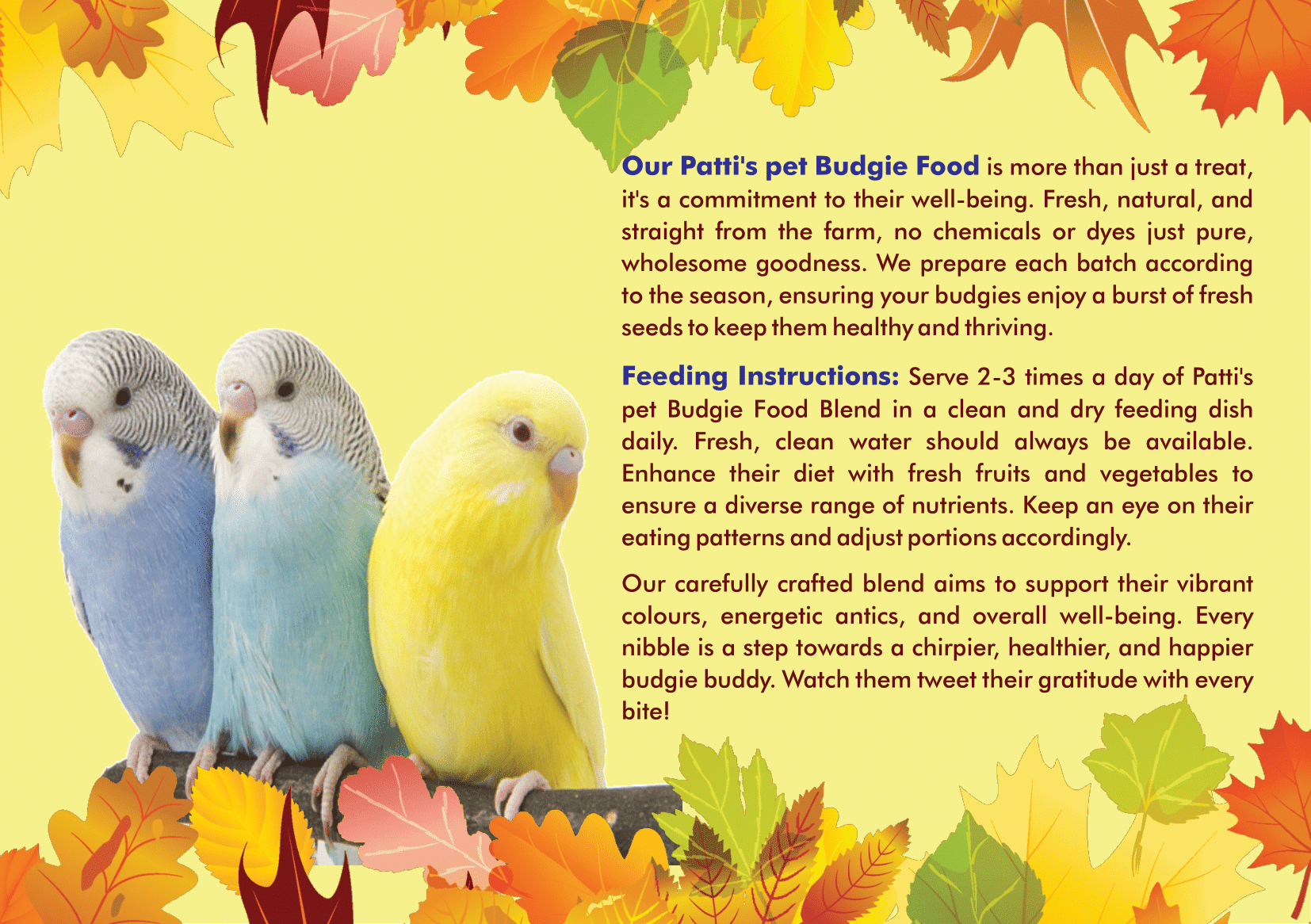 Bird Vitamin Supplement - Image 2